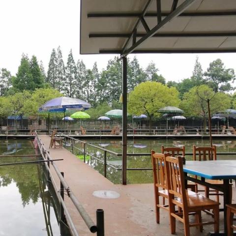 热门钓鱼游戏盘点:揭秘趣味排行,畅享垂钓新体验 热门钓鱼游戏盘点:揭秘趣味排行,畅享垂钓新体验