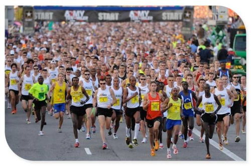 精选热门:盘点最佳收集马拉松游戏,畅玩新体验 精选热门:盘点最佳收集马拉松游戏,畅玩新体验