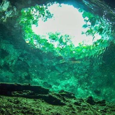 墨西哥丛林惊悚升级,独家揭秘《孤岛惊魂7》真实内幕 墨西哥丛林惊悚升级,独家揭秘《孤岛惊魂7》真实内幕