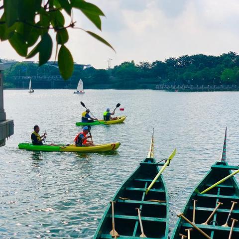 畅玩精选:盘点最佳管理游戏,体验极致掌舵乐趣 畅玩精选:盘点最佳管理游戏,体验极致掌舵乐趣