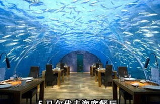 2024水底游戏盘点:揭秘十大热门水下探险佳作 2024水底游戏盘点:揭秘十大热门水下探险佳作