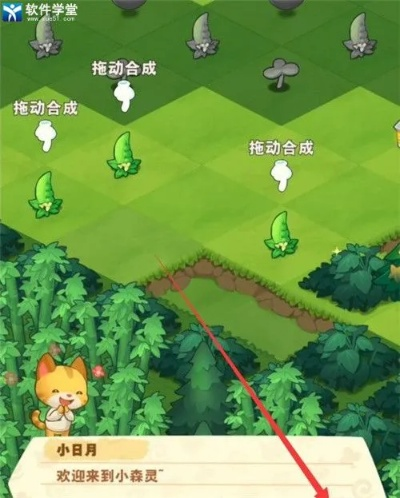 小森灵钻石合成攻略：高效收益新解析