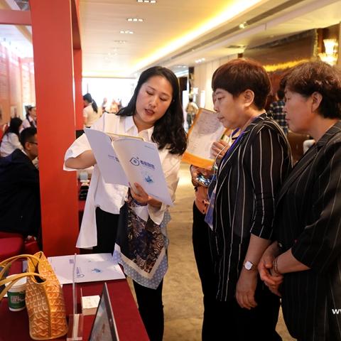 世界之石三大职业深度解析:解锁全新游戏价值体验 世界之石三大职业深度解析:解锁全新游戏价值体验