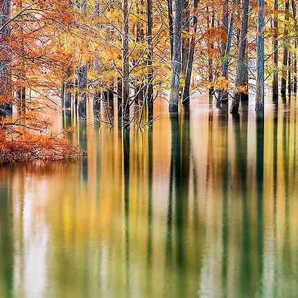 仙居秘境,非对称门派布局探秘新篇章 仙居秘境,非对称门派布局探秘新篇章