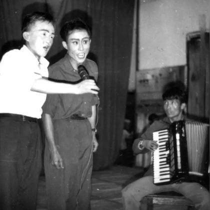 奶童稳血上分攻略，打造冒险公社最强阵容