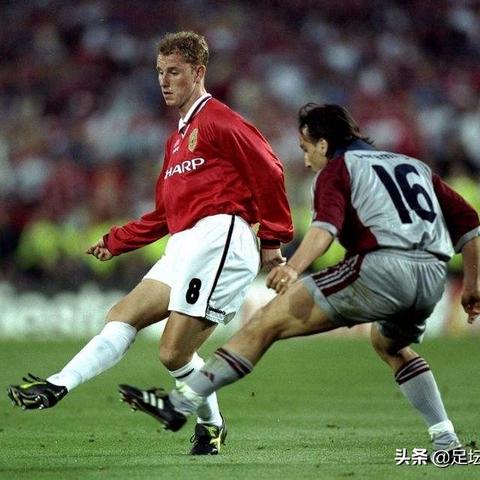 大树无尽升级攻略:揭秘1-30级高效升变技巧 大树无尽升级攻略:揭秘1-30级高效升变技巧