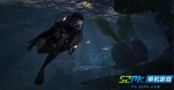 盘点最新自然游戏,探索无限生态乐趣 盘点最新自然游戏,探索无限生态乐趣