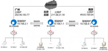 育龙岛探秘：杂交龙基因奥秘与价值解析