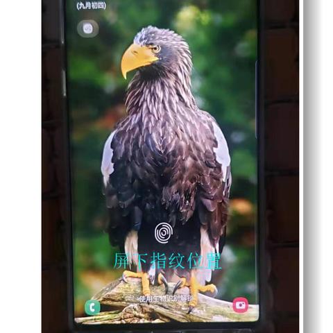 硬件游戏盘点：十大必玩精选，解锁全新游戏体验