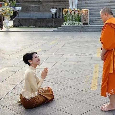 盘点俯视游戏:揭秘热门趣味之作,人气巅峰盘点 盘点俯视游戏:揭秘热门趣味之作,人气巅峰盘点