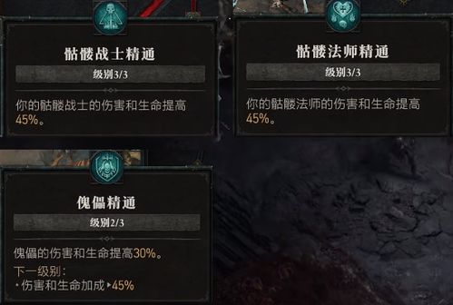 《暗黑破坏神4》BD强固拍拍熊攻略：轻松升级必备！