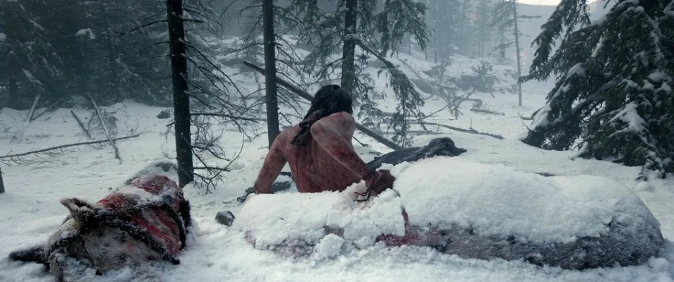 《荒野猎人》弓箭上位轮椅开荒神装攻略! 《荒野猎人》弓箭上位轮椅开荒神装攻略!