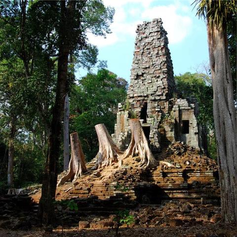 荒野变形者速刷秘籍,恶魔秘境高效攻略大揭秘 荒野变形者速刷秘籍,恶魔秘境高效攻略大揭秘