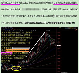 潮汐低练度3-8攻略：高效打法揭秘，全新策略助力突破