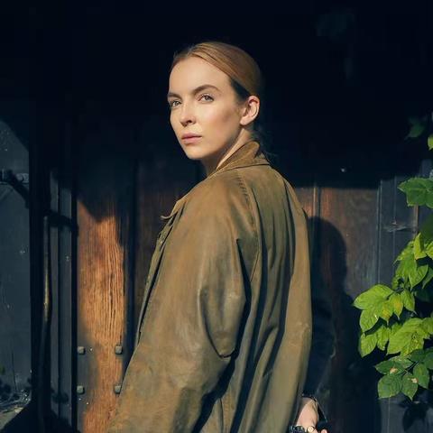 荒野乱斗伊芙实力巅峰,揭秘新秀崛起之路 荒野乱斗伊芙实力巅峰,揭秘新秀崛起之路