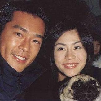 热门合作游戏盘点：揭秘玩家最爱互动排行