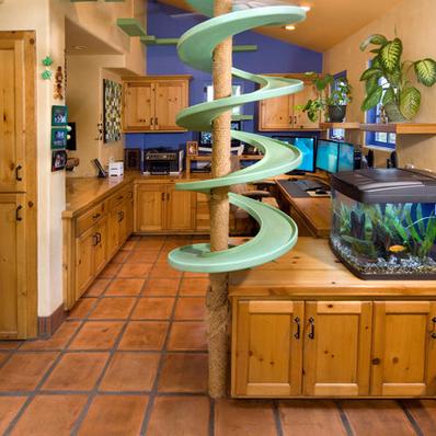 猫界巅峰之作:盘点十大必玩猫咪游戏,解锁猫咪乐园新体验 猫界巅峰之作:盘点十大必玩猫咪游戏,解锁猫咪乐园新体验