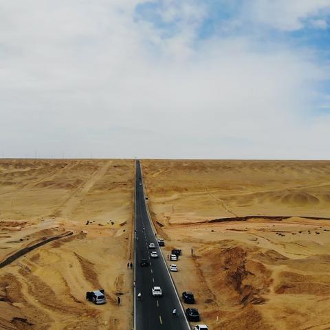 热门宠物游戏盘点:精选攻略与价值揭秘 热门宠物游戏盘点:精选攻略与价值揭秘