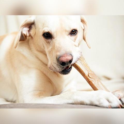 下载量飙升！精选暴力游戏盘点，揭示热门暴力游戏魅力