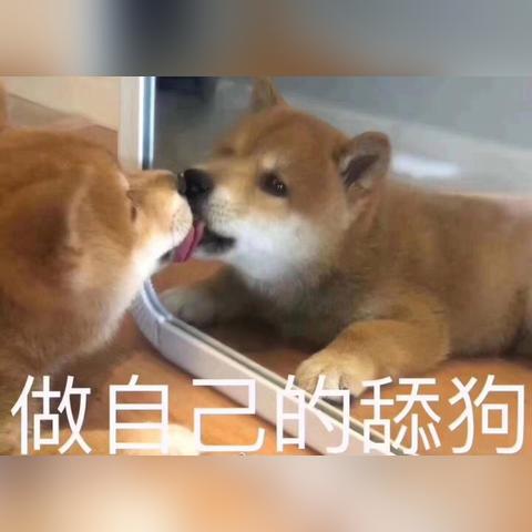 纯白和弦回忆攻略:解锁音乐之旅新篇章 纯白和弦回忆攻略:解锁音乐之旅新篇章