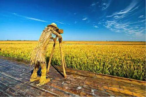 十大精选种田游戏，揭秘农业田园新体验