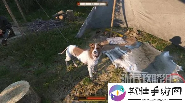 《天国拯救2》失踪羊攻略：快速找回羊群秘籍