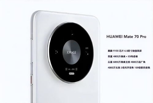 华为Mate70Pro+性价比解析:揭秘价格之谜 华为Mate70Pro+性价比解析:揭秘价格之谜