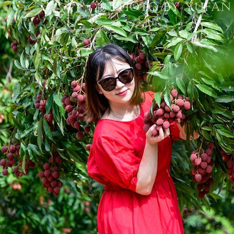 《南国度假岛物语》通关攻略:隐藏秘境全解锁! 《南国度假岛物语》通关攻略:隐藏秘境全解锁!