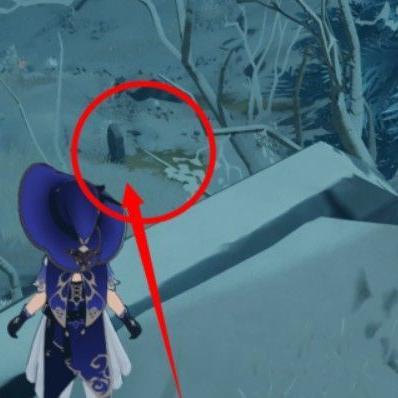 《原神》伊犁椰林神秘锚点揭秘!隐藏位置大公开 《原神》伊犁椰林神秘锚点揭秘!隐藏位置大公开