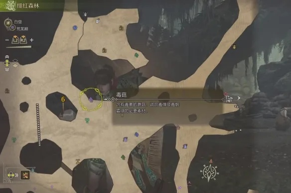 《荒野猎人》端丽翼鸟捕获攻略：神秘位置大揭秘