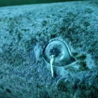 咸鱼之王宝箱积分速算神器,轻松解锁宝藏新秘籍 咸鱼之王宝箱积分速算神器,轻松解锁宝藏新秘籍