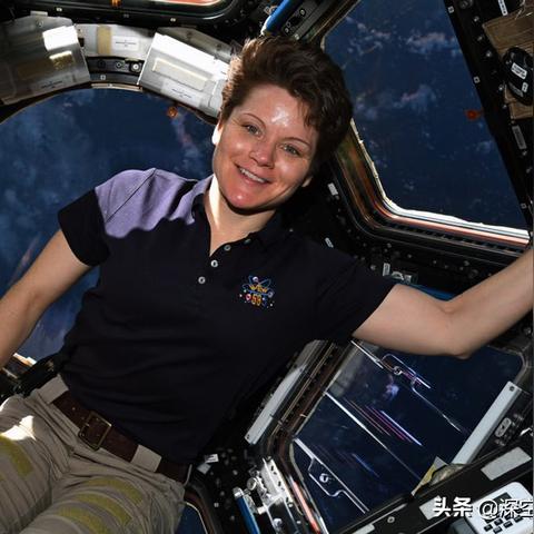 2024年度犯罪游戏排行,揭秘热门新锐之作 2024年度犯罪游戏排行,揭秘热门新锐之作