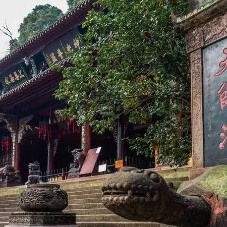 张道陵攻略：深度解析道天录辅助输出技巧