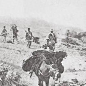 《怪物猎人崛起》曙光怪异EX5星任务攻略！挑战极限！