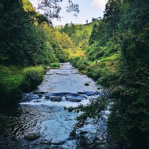 治愈游戏精选盘点:探索心灵疗愈新体验 治愈游戏精选盘点:探索心灵疗愈新体验