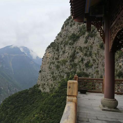 炉石传说翡翠梦境茶壶骑士卡组攻略分享[多图]