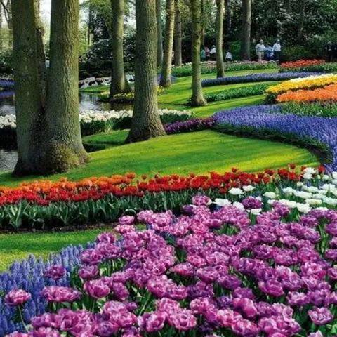 热门上帝视角游戏盘点:深度体验新视角畅游之旅 热门上帝视角游戏盘点:深度体验新视角畅游之旅