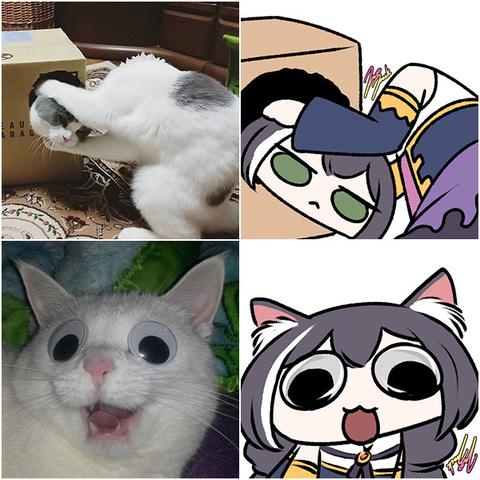 公主连结新手必看攻略：快速入坑，解锁新世界秘籍