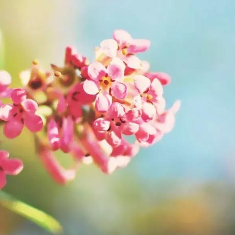 《流放之路2》职业提升攻略:高效升华技巧揭秘 《流放之路2》职业提升攻略:高效升华技巧揭秘