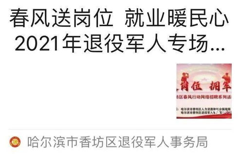 15岁求职V社遭拒,收获宝贵建议与成长启示 15岁求职V社遭拒,收获宝贵建议与成长启示