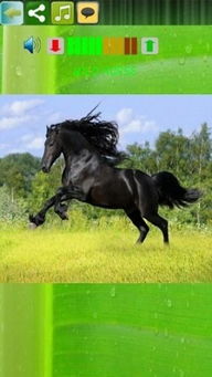 热门马匹游戏盘点:精选佳作,畅玩新体验 热门马匹游戏盘点:精选佳作,畅玩新体验