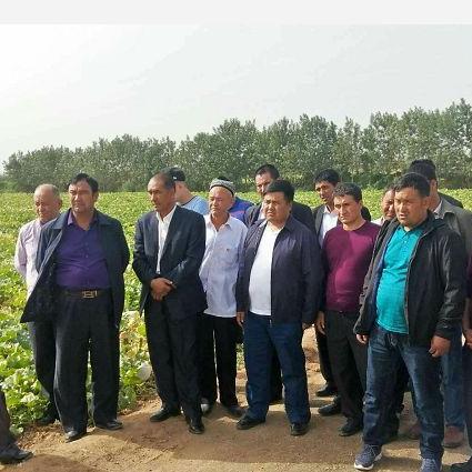 乱斗之王争霸启幕!《问道》2025全民竞技新篇章**热血**开启 乱斗之王争霸启幕!《问道》2025全民竞技新篇章**热血**开启