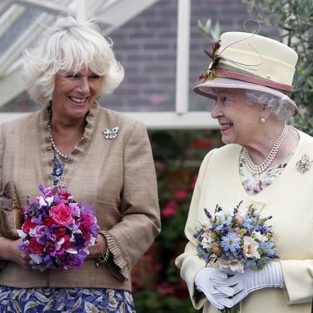 上古王冠新暗心愿攻略全解析，解锁隐藏宝藏新玩法