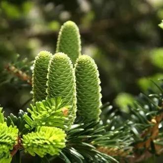 盘点十大热门必玩垂直卷轴射击,畅享射击新体验 盘点十大热门必玩垂直卷轴射击,畅享射击新体验
