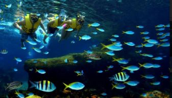 热门水底探险游戏精选，深度体验新潮流