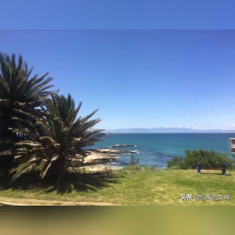 《仙女座船员互动大揭秘:质量效应新演示浪漫瞬间》 《仙女座船员互动大揭秘:质量效应新演示浪漫瞬间》