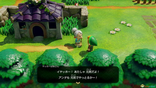 《塞尔达传说》织梦岛套装攻略：轻松解锁神秘套装！