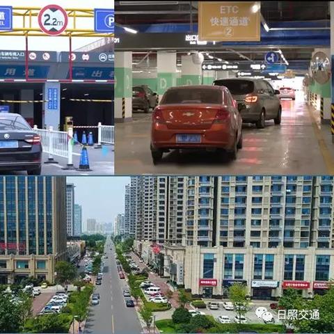 荒野求生:孤岛生存日记,揭秘全新求生智慧 荒野求生:孤岛生存日记,揭秘全新求生智慧