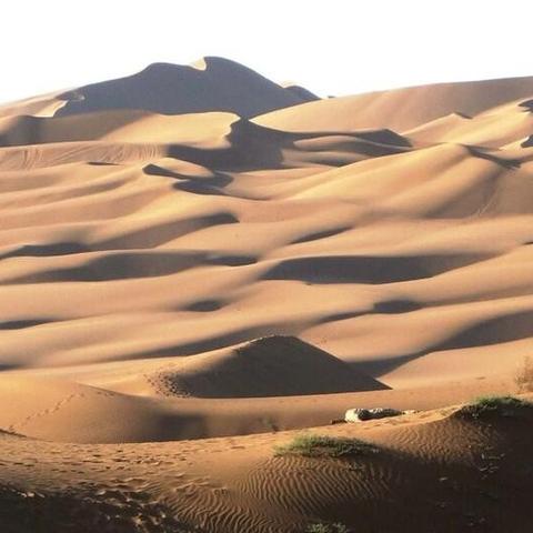 荒野求生:揭秘孤岛生存日记新篇章 荒野求生:揭秘孤岛生存日记新篇章