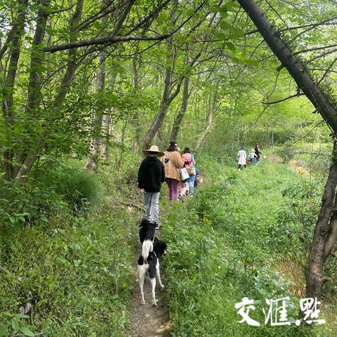 花田小院攻略秘籍:道具全解析,畅玩无忧新体验 花田小院攻略秘籍:道具全解析,畅玩无忧新体验